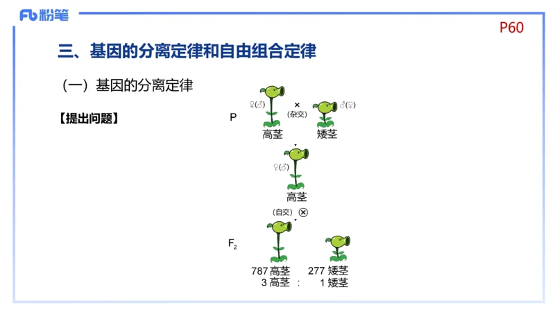 理论精讲08-遗传学1-拾光_4-教培资料-26年最新资料-同步更新_初中高中教资_03科三专项（进去保存报考的学科即可）_01科目三FB网课、三色速记手册、知识点导图等推荐_初中