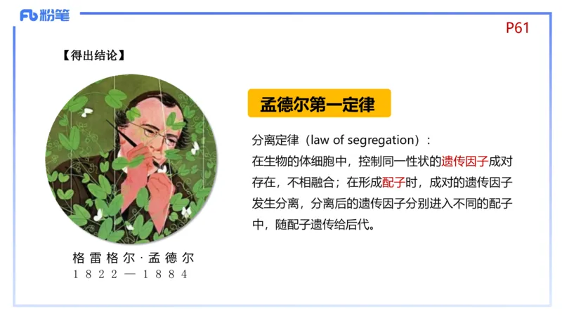 理论精讲08-遗传学1-拾光_4-教培资料-26年最新资料-同步更新_初中高中教资_03科三专项（进去保存报考的学科即可）_01科目三FB网课、三色速记手册、知识点导图等推荐_初中