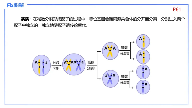理论精讲08-遗传学1-拾光_4-教培资料-26年最新资料-同步更新_初中高中教资_03科三专项（进去保存报考的学科即可）_01科目三FB网课、三色速记手册、知识点导图等推荐_初中