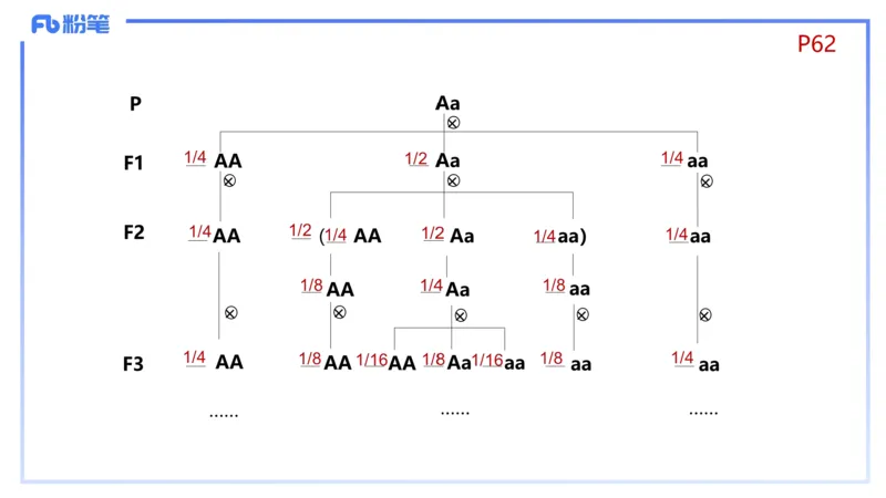 理论精讲08-遗传学1-拾光_4-教培资料-26年最新资料-同步更新_初中高中教资_03科三专项（进去保存报考的学科即可）_01科目三FB网课、三色速记手册、知识点导图等推荐_初中