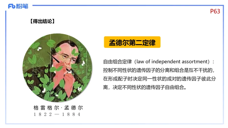 理论精讲08-遗传学1-拾光_4-教培资料-26年最新资料-同步更新_初中高中教资_03科三专项（进去保存报考的学科即可）_01科目三FB网课、三色速记手册、知识点导图等推荐_初中