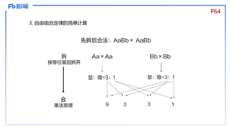 理论精讲08-遗传学1-拾光_4-教培资料-26年最新资料-同步更新_初中高中教资_03科三专项（进去保存报考的学科即可）_01科目三FB网课、三色速记手册、知识点导图等推荐_初中