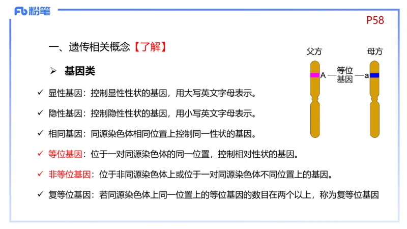 理论精讲08-遗传学1-拾光_4-教培资料-26年最新资料-同步更新_初中高中教资_03科三专项（进去保存报考的学科即可）_01科目三FB网课、三色速记手册、知识点导图等推荐_初中