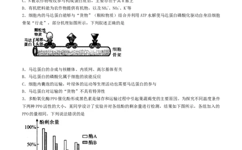 江苏省扬州市高邮市2026届高三上学期10月学情调研测试生物Word版含答案_251101江苏省扬州市高邮市2026届高三上学期10月学情调研测试（全科）