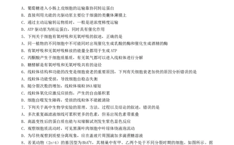 江苏省扬州市高邮市2026届高三上学期10月学情调研测试生物Word版含答案_251101江苏省扬州市高邮市2026届高三上学期10月学情调研测试（全科）