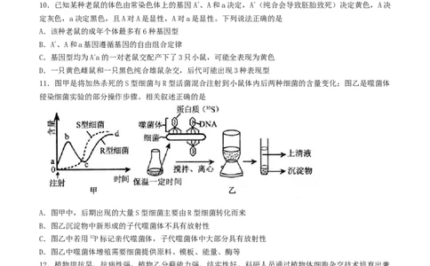 江苏省扬州市高邮市2026届高三上学期10月学情调研测试生物Word版含答案_251101江苏省扬州市高邮市2026届高三上学期10月学情调研测试（全科）