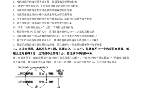 江苏省扬州市高邮市2026届高三上学期10月学情调研测试生物Word版含答案_251101江苏省扬州市高邮市2026届高三上学期10月学情调研测试（全科）