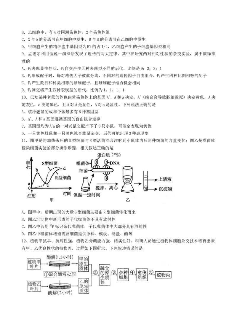 江苏省扬州市高邮市2026届高三上学期10月学情调研测试生物Word版含答案_251101江苏省扬州市高邮市2026届高三上学期10月学情调研测试（全科）