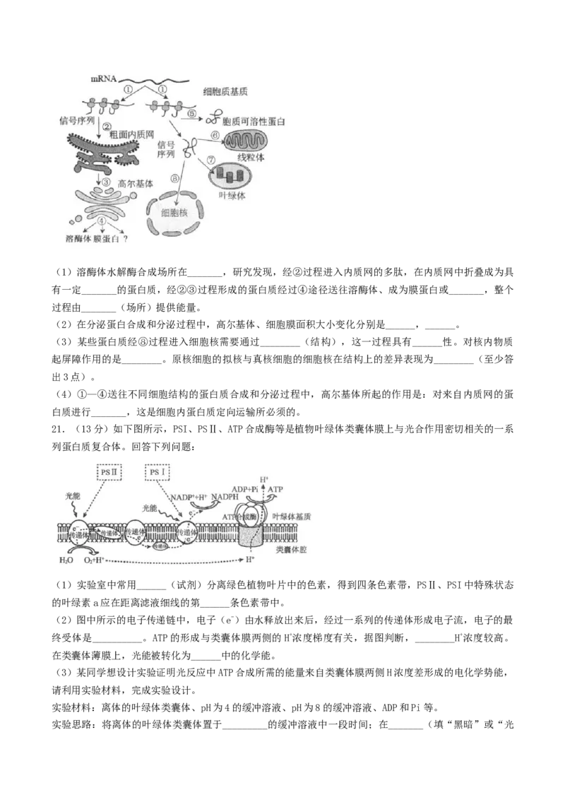 江苏省扬州市高邮市2026届高三上学期10月学情调研测试生物Word版含答案_251101江苏省扬州市高邮市2026届高三上学期10月学情调研测试（全科）