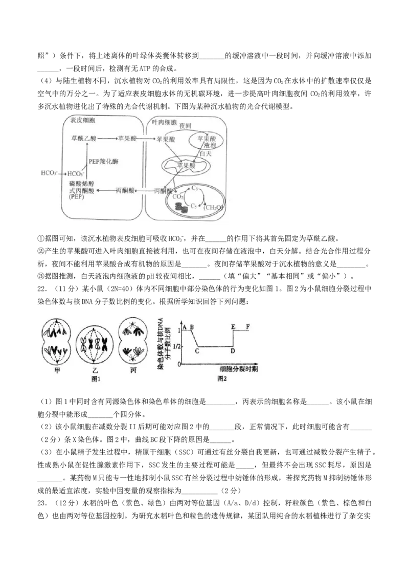 江苏省扬州市高邮市2026届高三上学期10月学情调研测试生物Word版含答案_251101江苏省扬州市高邮市2026届高三上学期10月学情调研测试（全科）