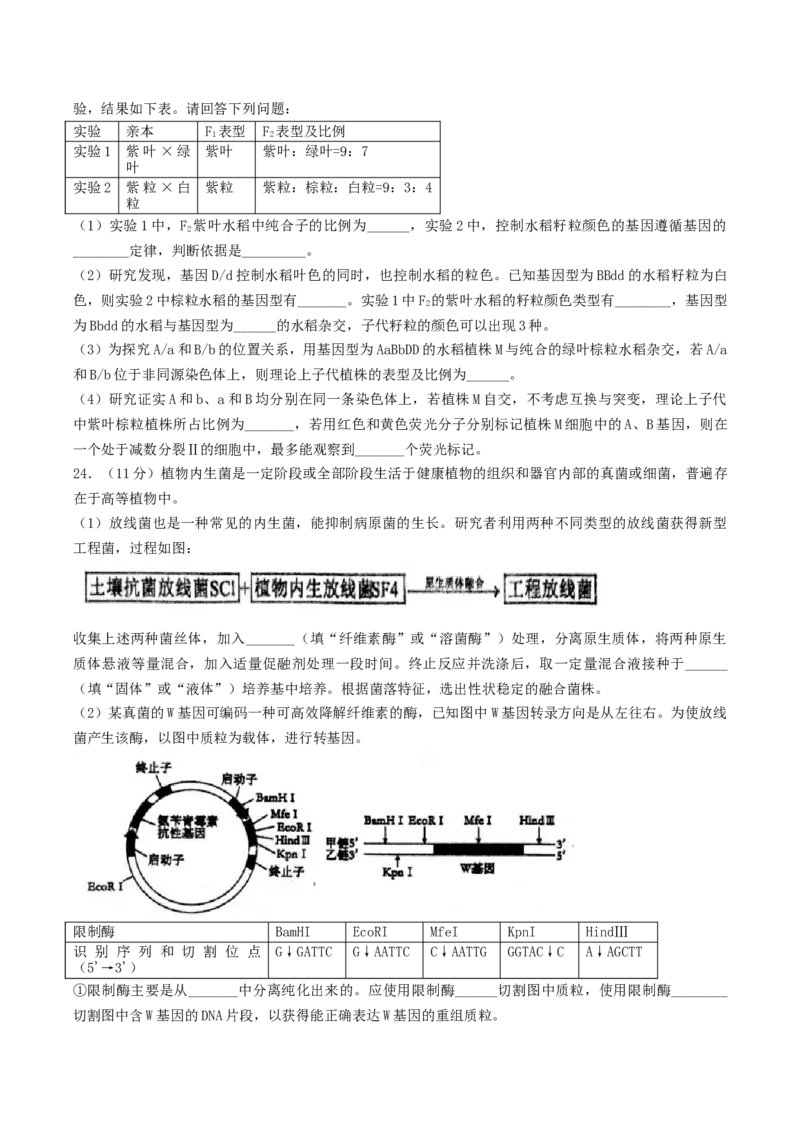 江苏省扬州市高邮市2026届高三上学期10月学情调研测试生物Word版含答案_251101江苏省扬州市高邮市2026届高三上学期10月学情调研测试（全科）