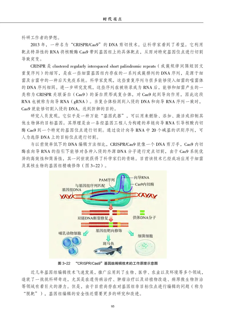 沪科教生物选修3高清教材_4-教培资料-26年最新资料-同步更新_初中高中教资_03科三专项（进去保存报考的学科即可）_02科三专项（笔记真题思维导图教学设计版本二）