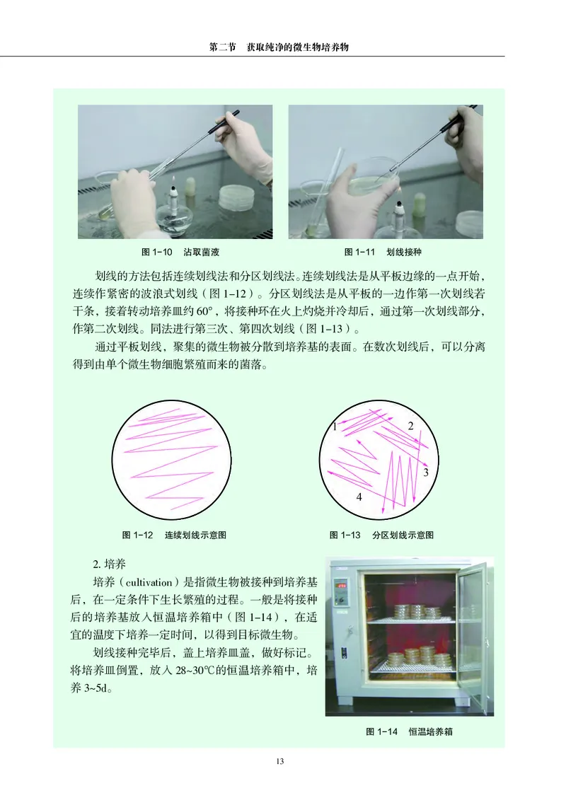 沪科教生物选修3高清教材_4-教培资料-26年最新资料-同步更新_初中高中教资_03科三专项（进去保存报考的学科即可）_02科三专项（笔记真题思维导图教学设计版本二）