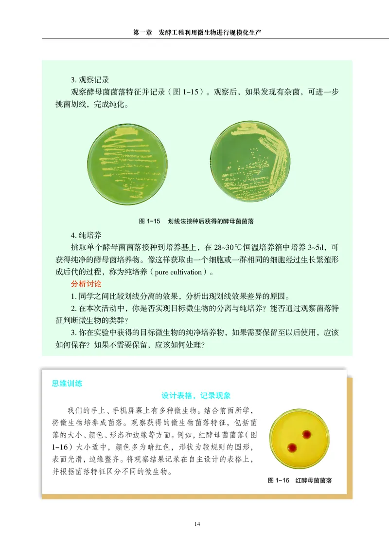 沪科教生物选修3高清教材_4-教培资料-26年最新资料-同步更新_初中高中教资_03科三专项（进去保存报考的学科即可）_02科三专项（笔记真题思维导图教学设计版本二）
