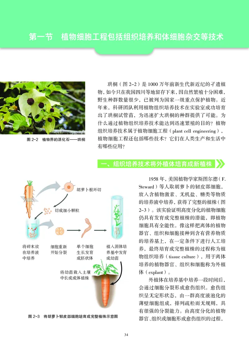 沪科教生物选修3高清教材_4-教培资料-26年最新资料-同步更新_初中高中教资_03科三专项（进去保存报考的学科即可）_02科三专项（笔记真题思维导图教学设计版本二）