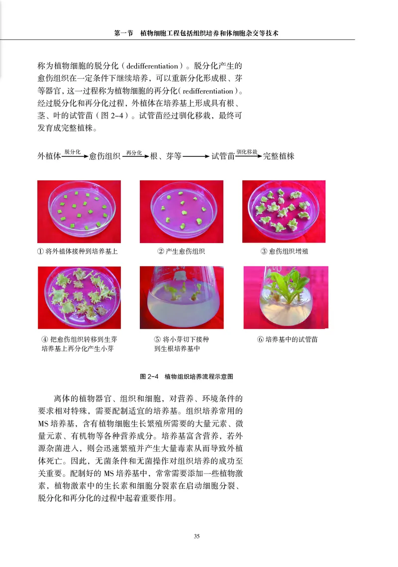 沪科教生物选修3高清教材_4-教培资料-26年最新资料-同步更新_初中高中教资_03科三专项（进去保存报考的学科即可）_02科三专项（笔记真题思维导图教学设计版本二）