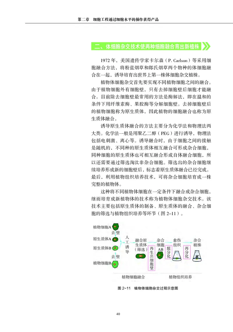 沪科教生物选修3高清教材_4-教培资料-26年最新资料-同步更新_初中高中教资_03科三专项（进去保存报考的学科即可）_02科三专项（笔记真题思维导图教学设计版本二）