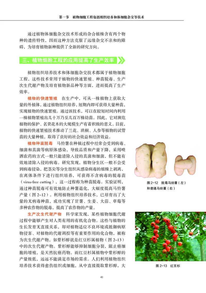 沪科教生物选修3高清教材_4-教培资料-26年最新资料-同步更新_初中高中教资_03科三专项（进去保存报考的学科即可）_02科三专项（笔记真题思维导图教学设计版本二）