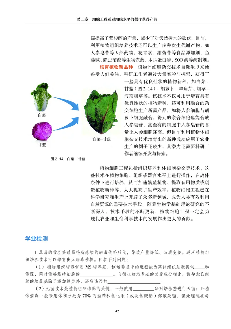 沪科教生物选修3高清教材_4-教培资料-26年最新资料-同步更新_初中高中教资_03科三专项（进去保存报考的学科即可）_02科三专项（笔记真题思维导图教学设计版本二）