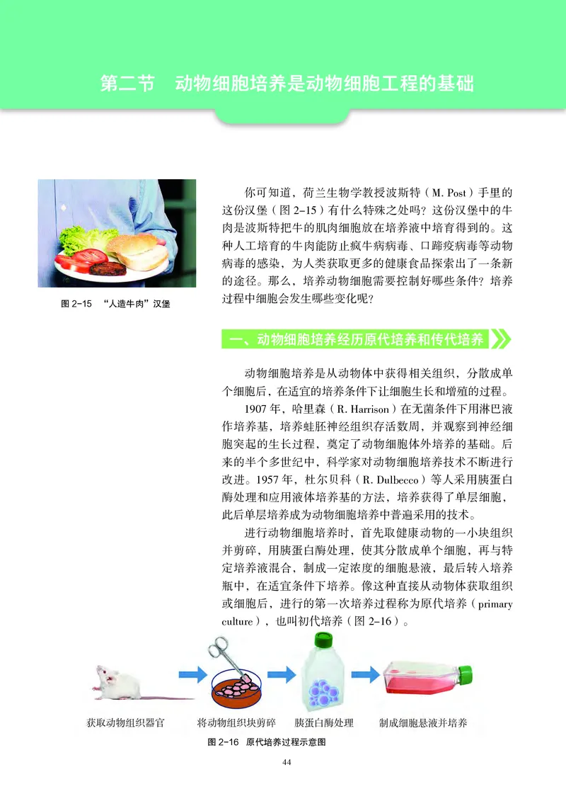 沪科教生物选修3高清教材_4-教培资料-26年最新资料-同步更新_初中高中教资_03科三专项（进去保存报考的学科即可）_02科三专项（笔记真题思维导图教学设计版本二）