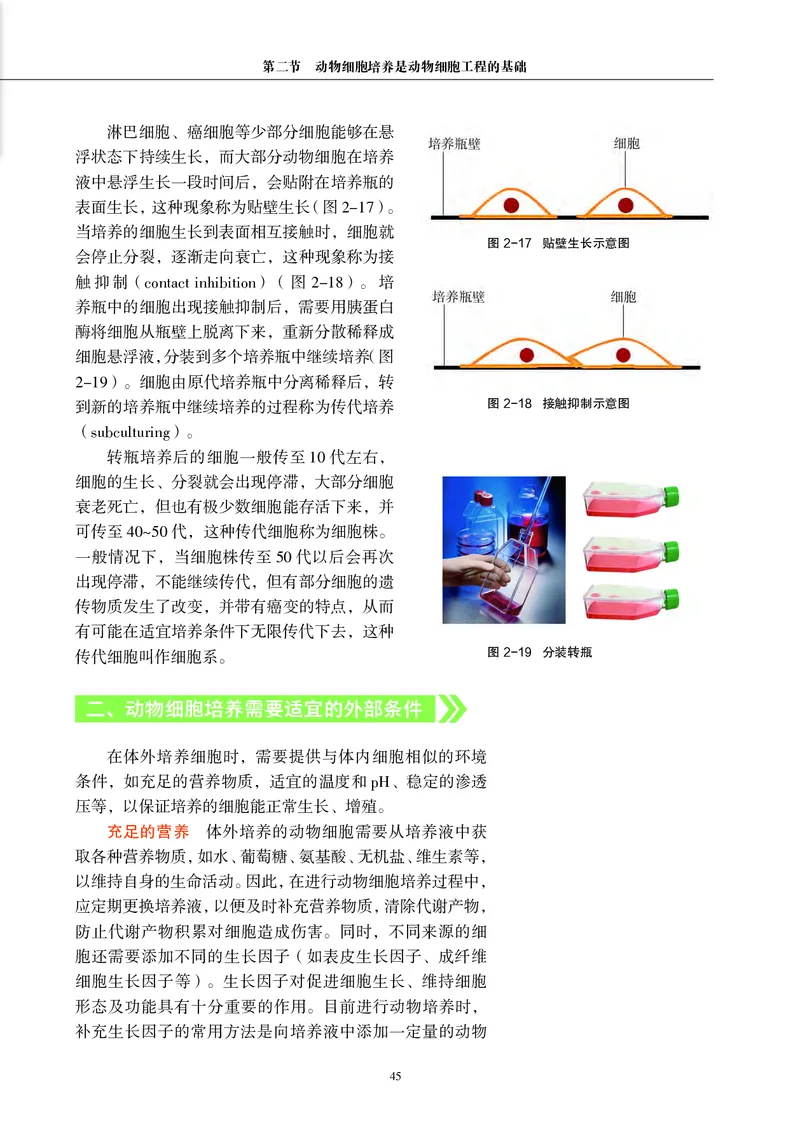 沪科教生物选修3高清教材_4-教培资料-26年最新资料-同步更新_初中高中教资_03科三专项（进去保存报考的学科即可）_02科三专项（笔记真题思维导图教学设计版本二）