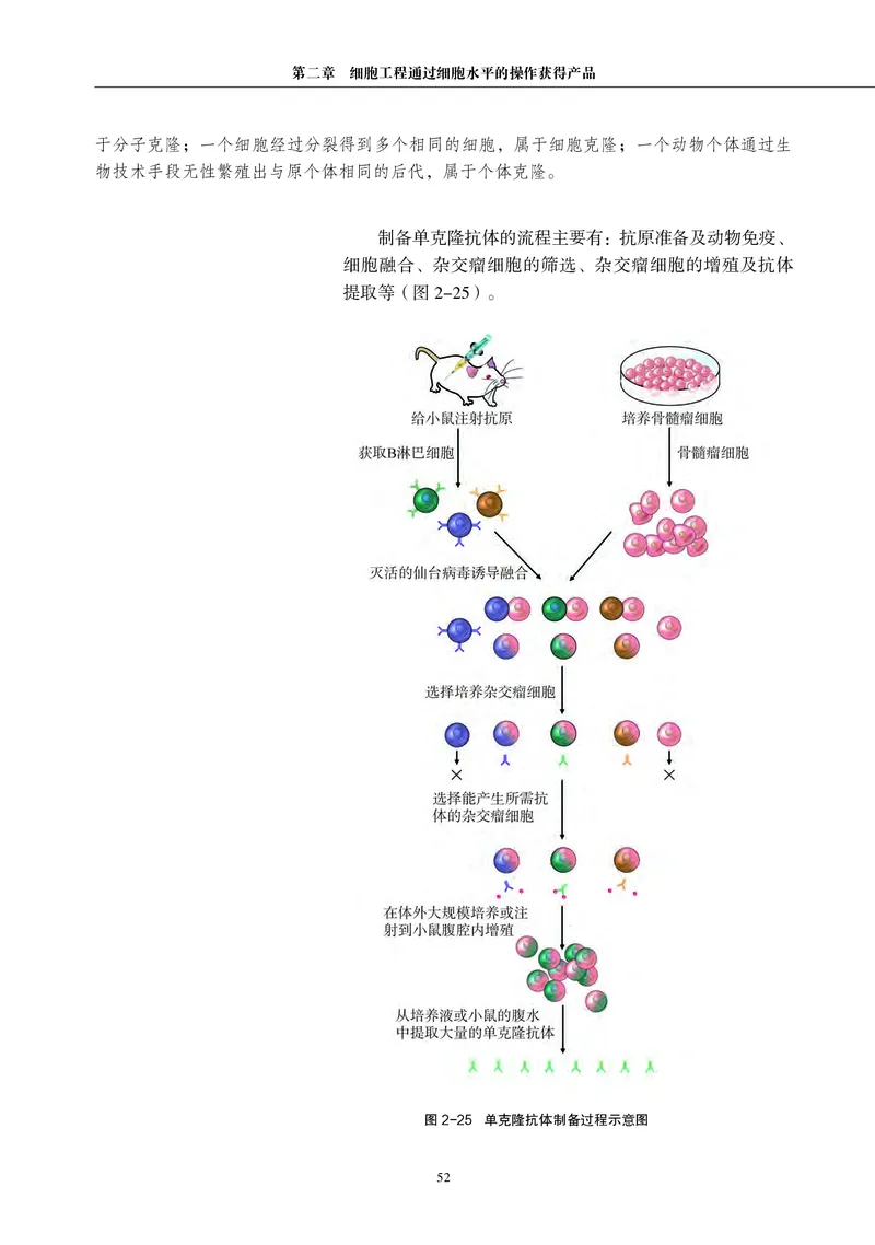 沪科教生物选修3高清教材_4-教培资料-26年最新资料-同步更新_初中高中教资_03科三专项（进去保存报考的学科即可）_02科三专项（笔记真题思维导图教学设计版本二）