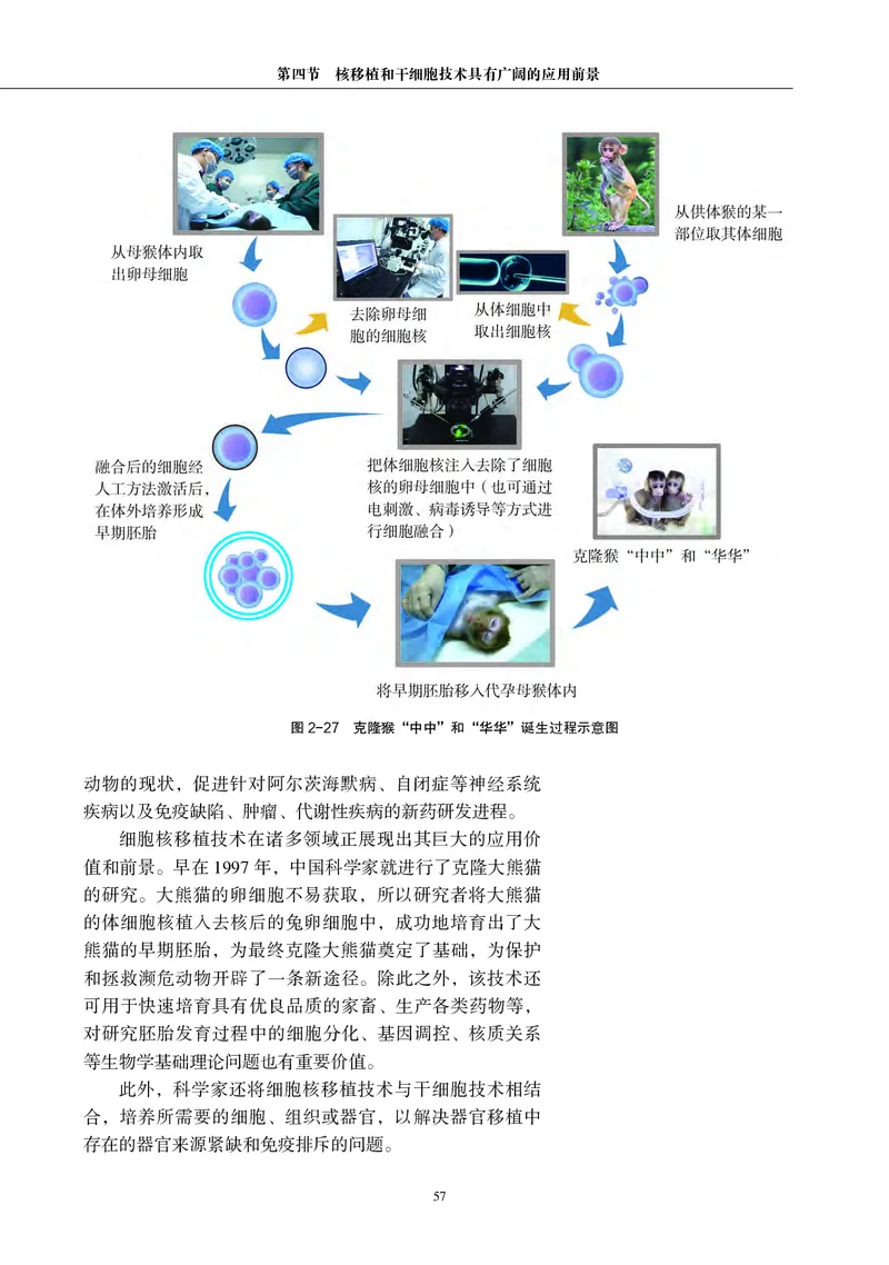 沪科教生物选修3高清教材_4-教培资料-26年最新资料-同步更新_初中高中教资_03科三专项（进去保存报考的学科即可）_02科三专项（笔记真题思维导图教学设计版本二）