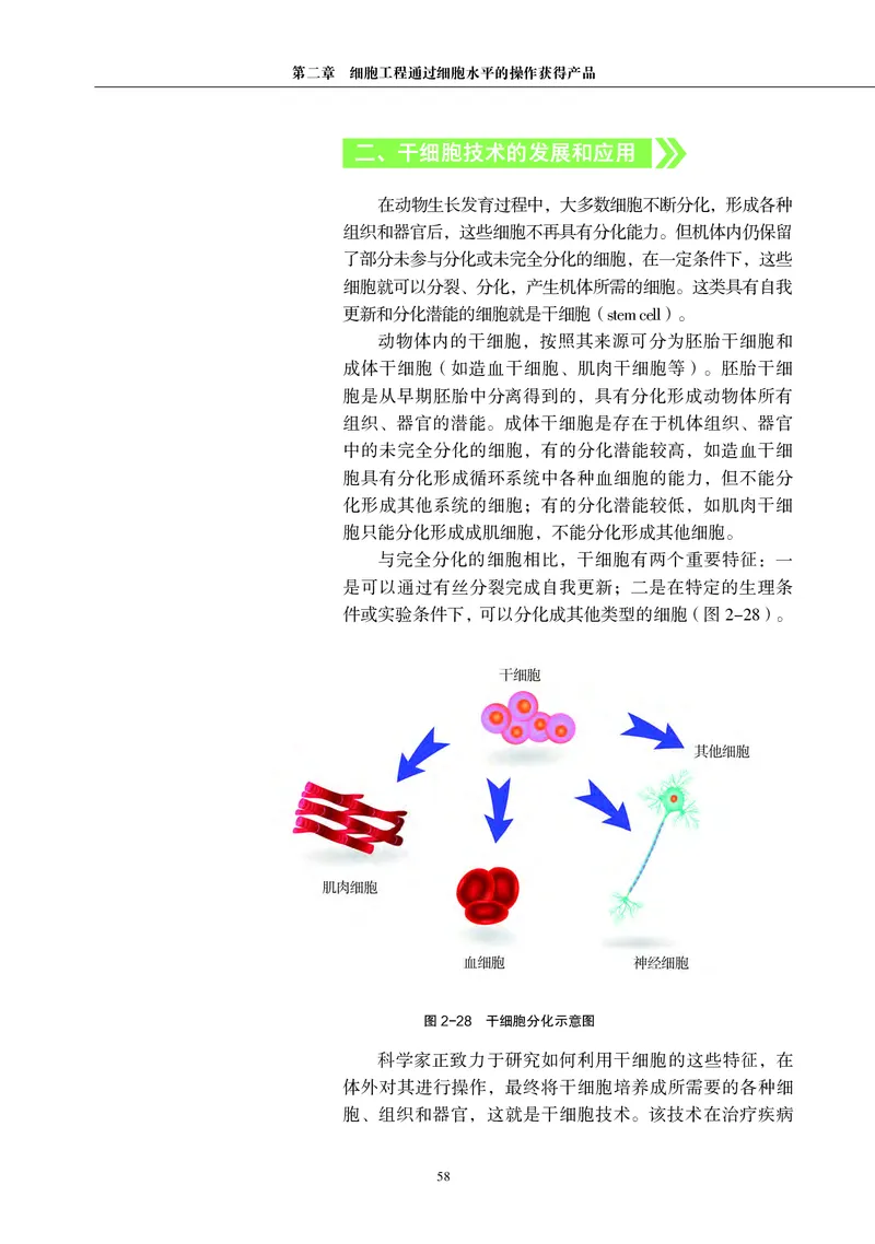 沪科教生物选修3高清教材_4-教培资料-26年最新资料-同步更新_初中高中教资_03科三专项（进去保存报考的学科即可）_02科三专项（笔记真题思维导图教学设计版本二）