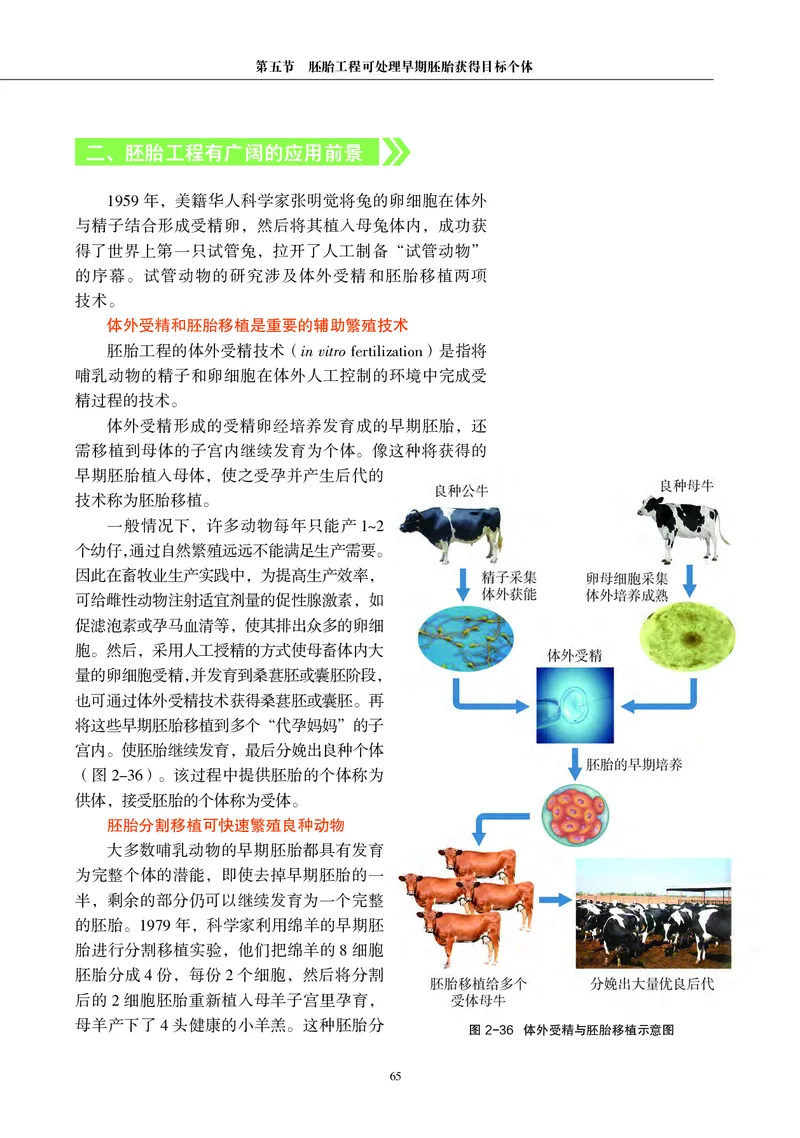 沪科教生物选修3高清教材_4-教培资料-26年最新资料-同步更新_初中高中教资_03科三专项（进去保存报考的学科即可）_02科三专项（笔记真题思维导图教学设计版本二）