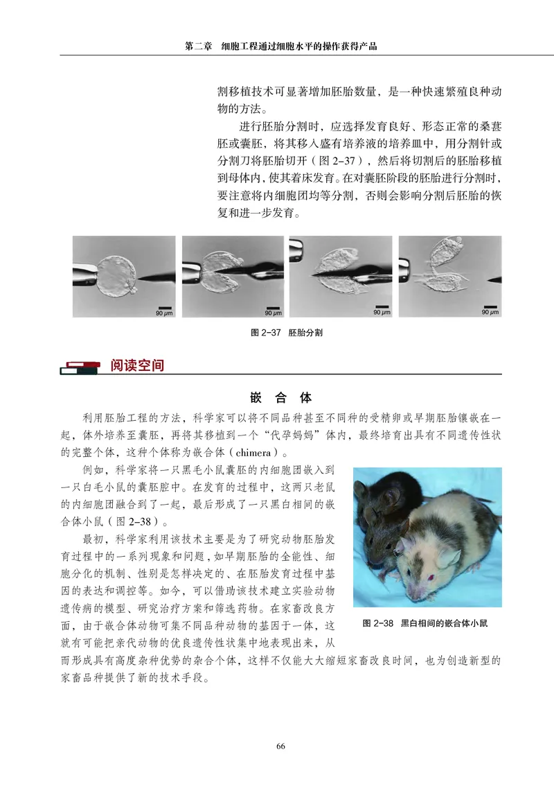 沪科教生物选修3高清教材_4-教培资料-26年最新资料-同步更新_初中高中教资_03科三专项（进去保存报考的学科即可）_02科三专项（笔记真题思维导图教学设计版本二）