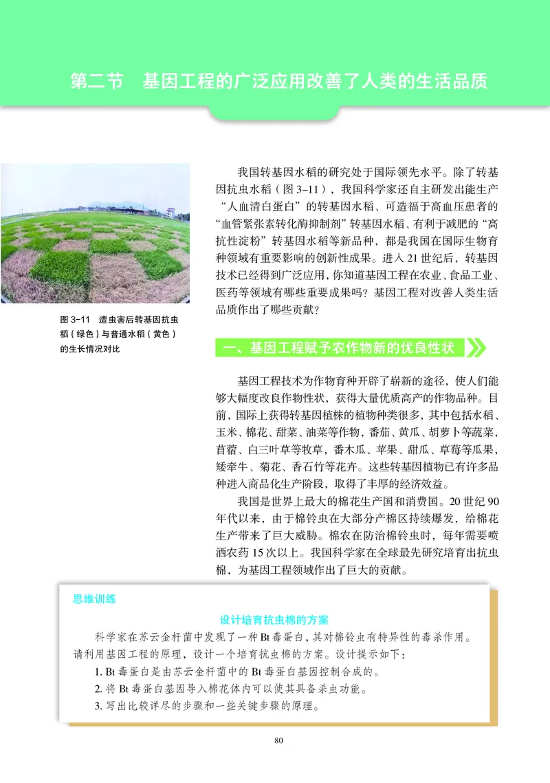 沪科教生物选修3高清教材_4-教培资料-26年最新资料-同步更新_初中高中教资_03科三专项（进去保存报考的学科即可）_02科三专项（笔记真题思维导图教学设计版本二）