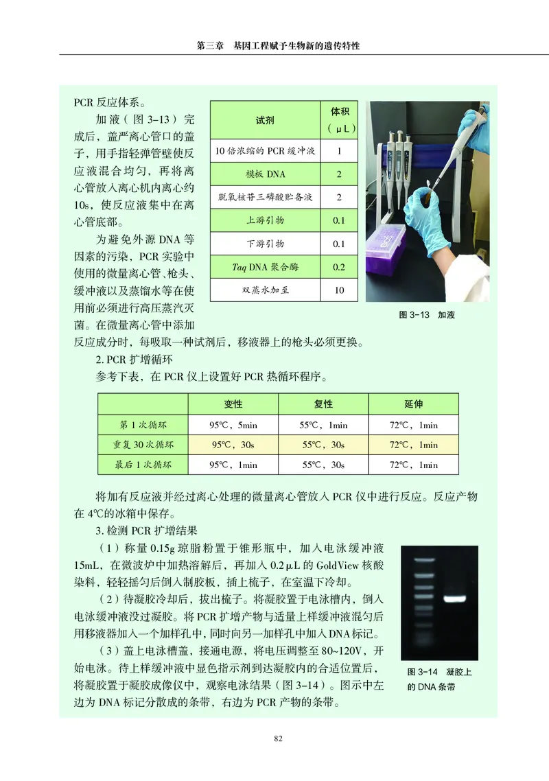 沪科教生物选修3高清教材_4-教培资料-26年最新资料-同步更新_初中高中教资_03科三专项（进去保存报考的学科即可）_02科三专项（笔记真题思维导图教学设计版本二）