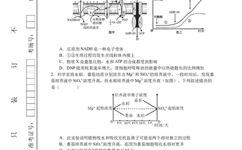 恩施高中、夷陵中学、郧阳中学2025届高三确定卷生物_2025年6月_250601湖北省（恩施高中、夷陵中学、郧阳中学）2025届高三确定卷（全科）