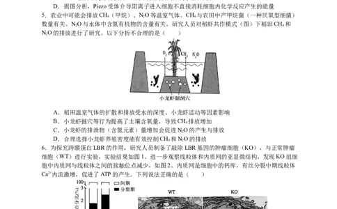 恩施高中、夷陵中学、郧阳中学2025届高三确定卷生物_2025年6月_250601湖北省（恩施高中、夷陵中学、郧阳中学）2025届高三确定卷（全科）