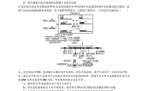 恩施高中、夷陵中学、郧阳中学2025届高三确定卷生物_2025年6月_250601湖北省（恩施高中、夷陵中学、郧阳中学）2025届高三确定卷（全科）