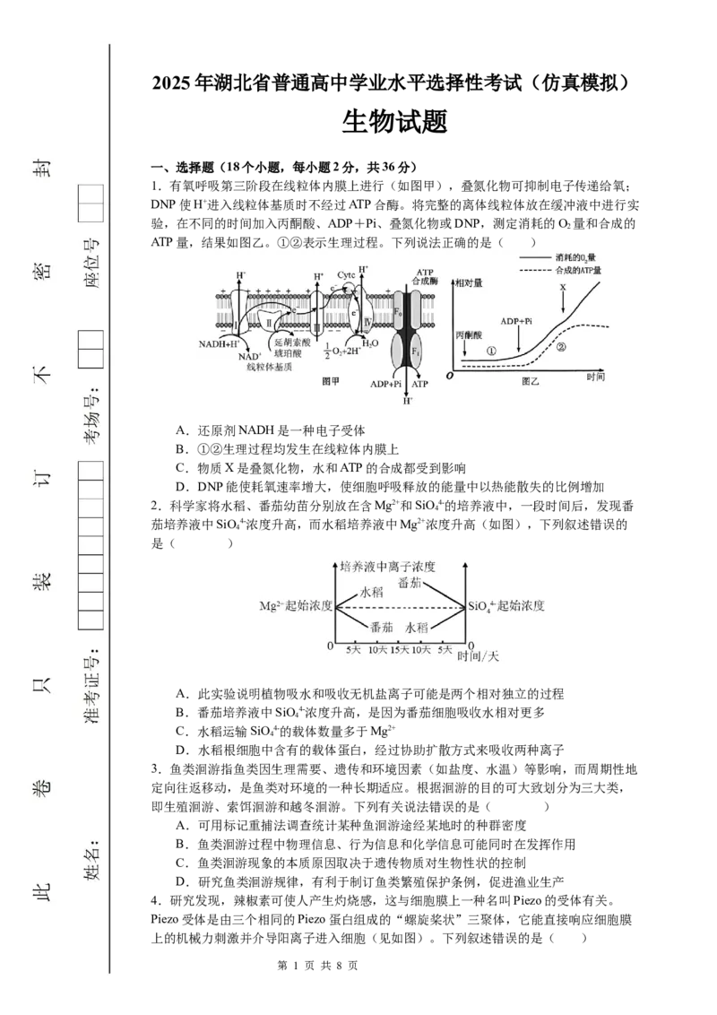 恩施高中、夷陵中学、郧阳中学2025届高三确定卷生物_2025年6月_250601湖北省（恩施高中、夷陵中学、郧阳中学）2025届高三确定卷（全科）