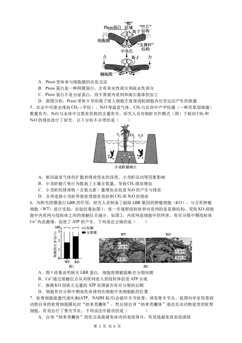 恩施高中、夷陵中学、郧阳中学2025届高三确定卷生物_2025年6月_250601湖北省（恩施高中、夷陵中学、郧阳中学）2025届高三确定卷（全科）