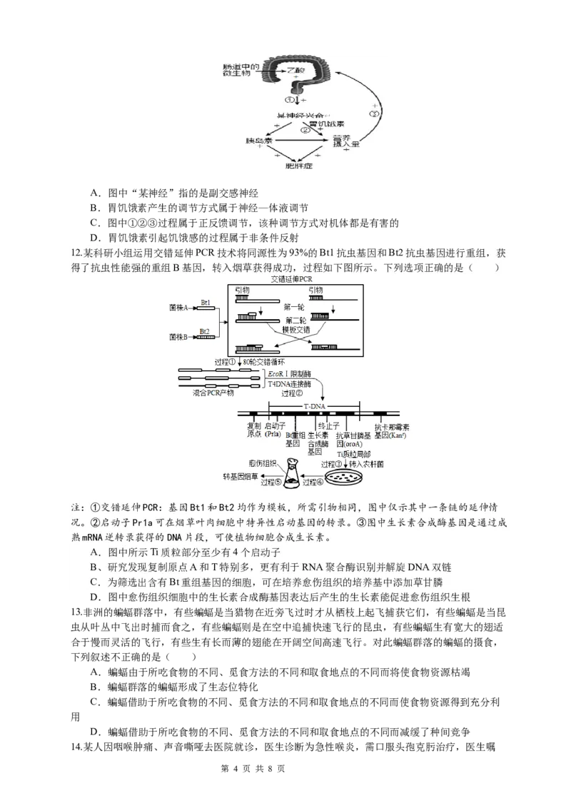恩施高中、夷陵中学、郧阳中学2025届高三确定卷生物_2025年6月_250601湖北省（恩施高中、夷陵中学、郧阳中学）2025届高三确定卷（全科）