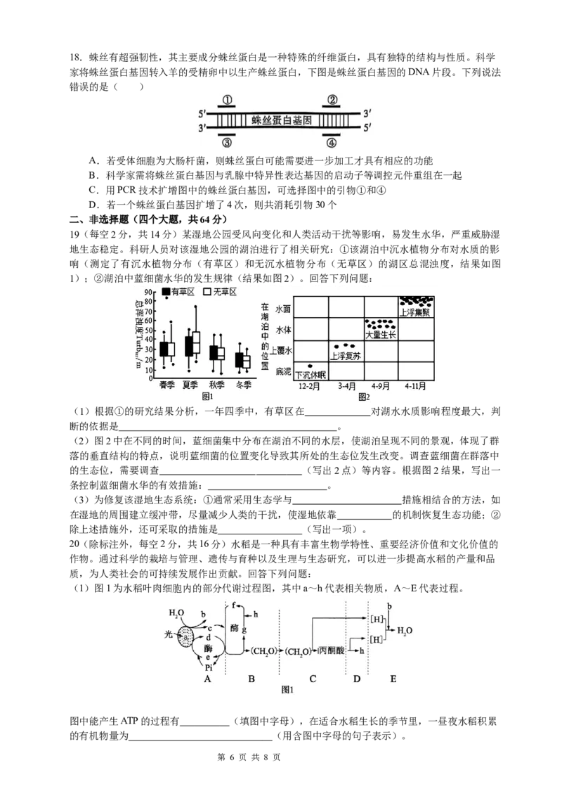 恩施高中、夷陵中学、郧阳中学2025届高三确定卷生物_2025年6月_250601湖北省（恩施高中、夷陵中学、郧阳中学）2025届高三确定卷（全科）