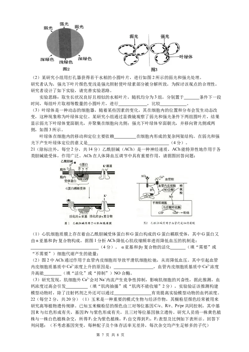 恩施高中、夷陵中学、郧阳中学2025届高三确定卷生物_2025年6月_250601湖北省（恩施高中、夷陵中学、郧阳中学）2025届高三确定卷（全科）