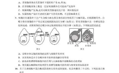 湖北省武汉市硚口区2025-2026学年高三上学期7月起点质量检测生物试卷（含答案）_2025年7月_250728湖北省武汉市硚口区2025-2026学年高三上学期7月起点质量检测（全科）_0823204624