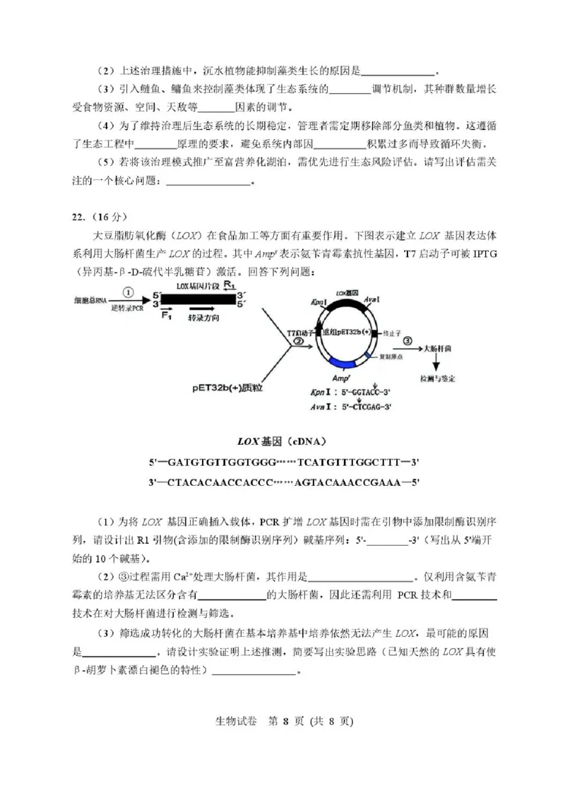 湖北省武汉市硚口区2025-2026学年高三上学期7月起点质量检测生物试卷（含答案）_2025年7月_250728湖北省武汉市硚口区2025-2026学年高三上学期7月起点质量检测（全科）_0823204624