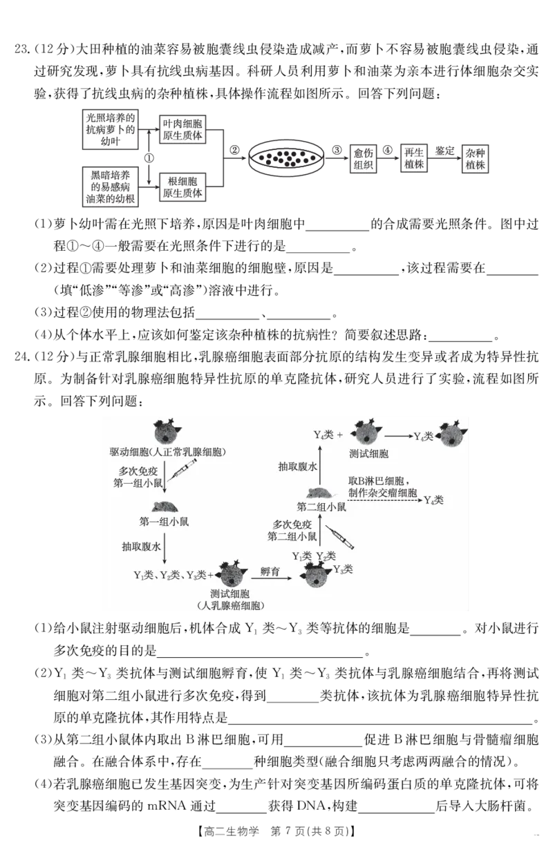 新疆2024-2025学年高二下学期7月联考试卷生物_2025年7月_250725金太阳&middot;新疆2024-2025学年高二下学期7月联考试卷（金太阳25-584B）（全科）