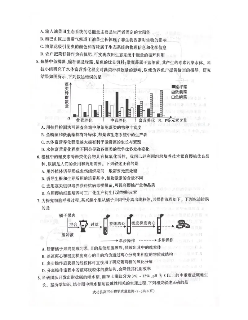武功县2026届11月高三质量监测生物_251113陕西省咸阳市武功县2026届11月高三质量监测（全科）