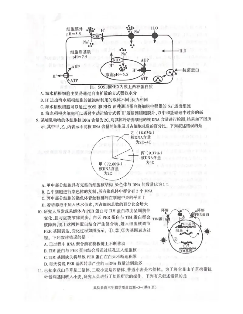 武功县2026届11月高三质量监测生物_251113陕西省咸阳市武功县2026届11月高三质量监测（全科）