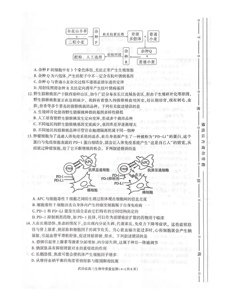 武功县2026届11月高三质量监测生物_251113陕西省咸阳市武功县2026届11月高三质量监测（全科）