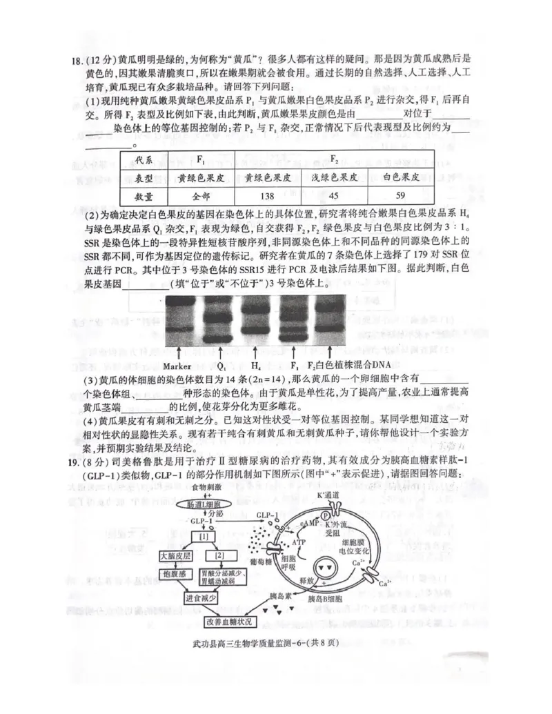 武功县2026届11月高三质量监测生物_251113陕西省咸阳市武功县2026届11月高三质量监测（全科）