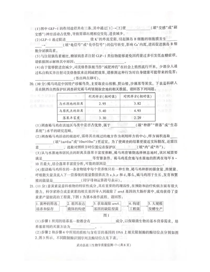 武功县2026届11月高三质量监测生物_251113陕西省咸阳市武功县2026届11月高三质量监测（全科）