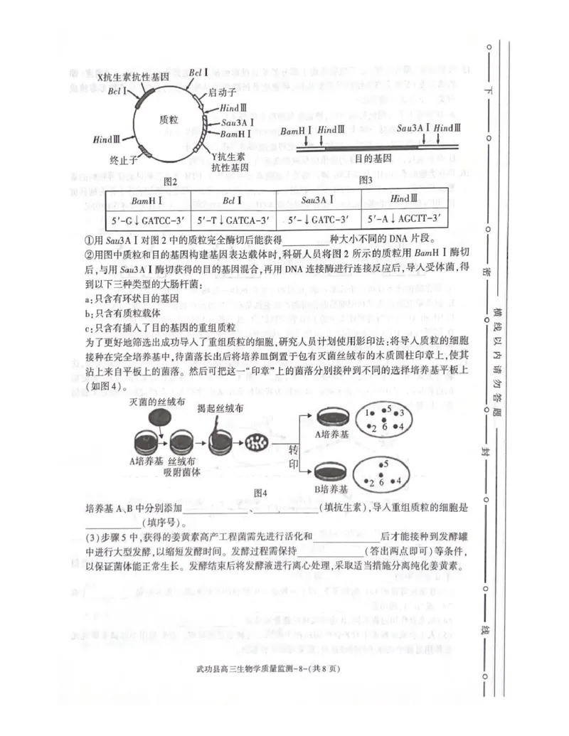 武功县2026届11月高三质量监测生物_251113陕西省咸阳市武功县2026届11月高三质量监测（全科）
