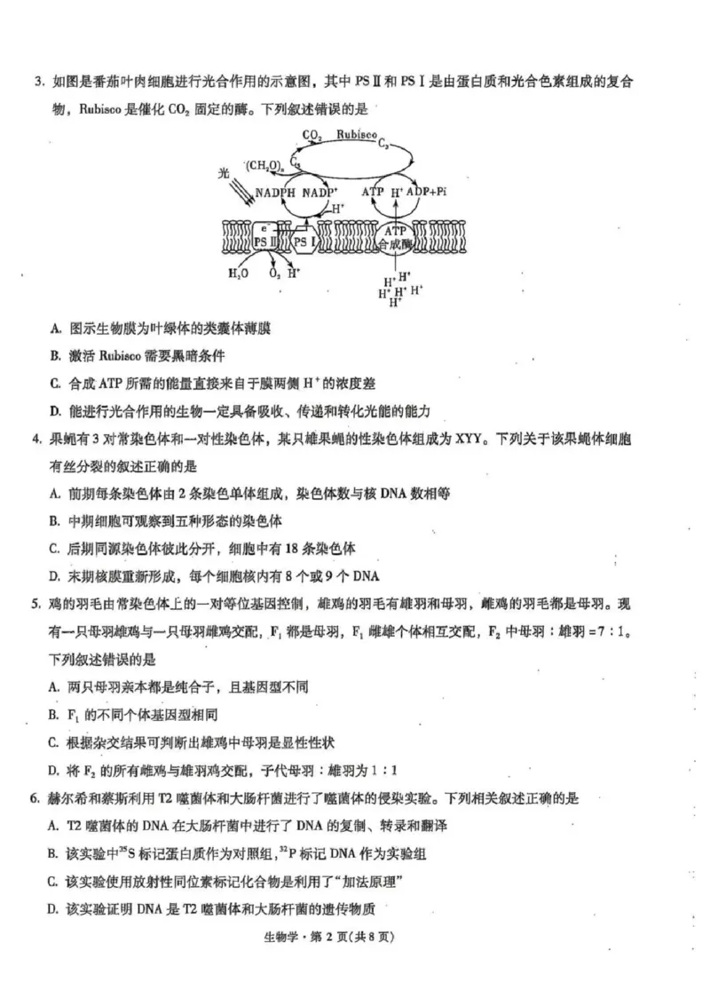 云南省昆明市第一中学2025-2026学年高三上学期第三次联考生物试卷（含答案）_251101云南省昆明市第一中学2025-2026学年高三上学期第三次联考（全科）